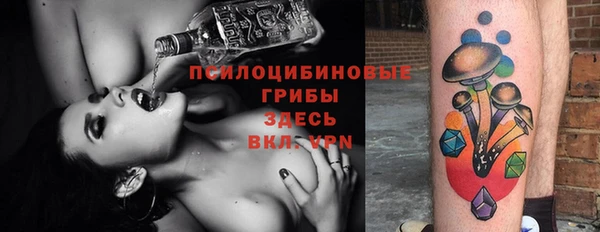 дживик Елабуга