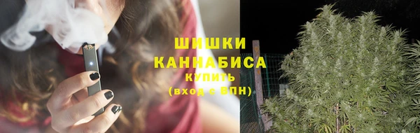 mix Ельня