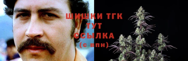 дживик Елабуга