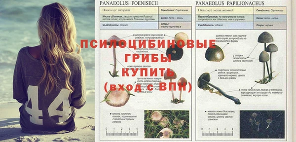 mix Ельня