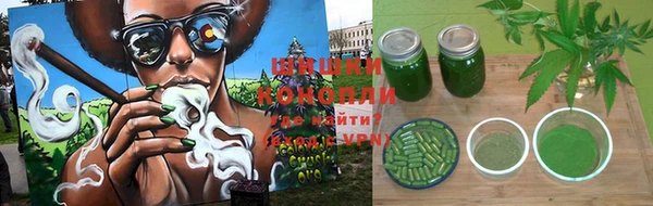 дживик Елабуга