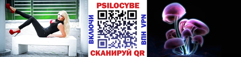 Галлюциногенные грибы Psilocybine cubensis  Купить где  Ершов 