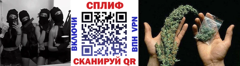 Купить  Ершов  Канабис марихуана 